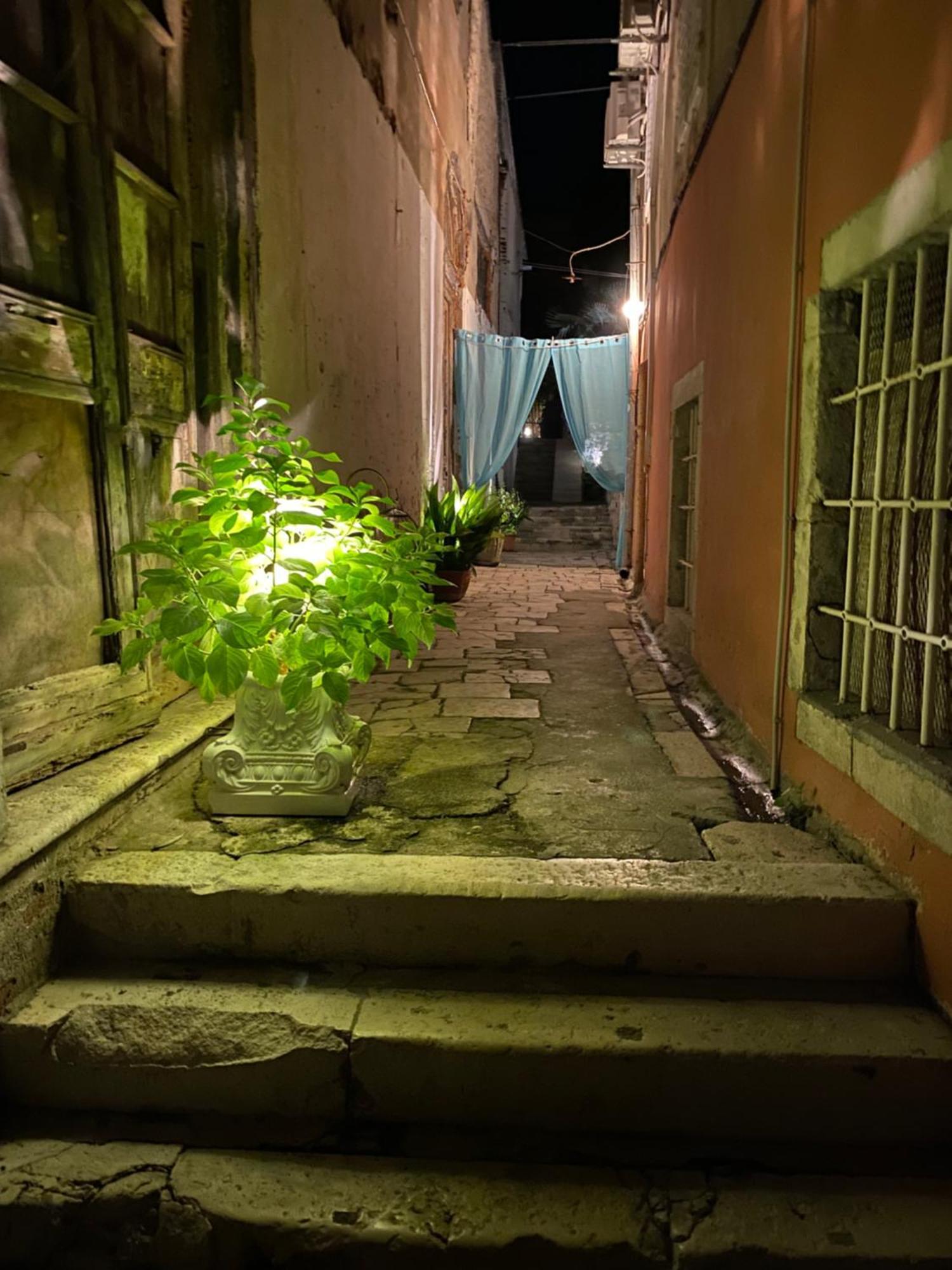 Secret Garden Apartment Zadar Bagian luar foto